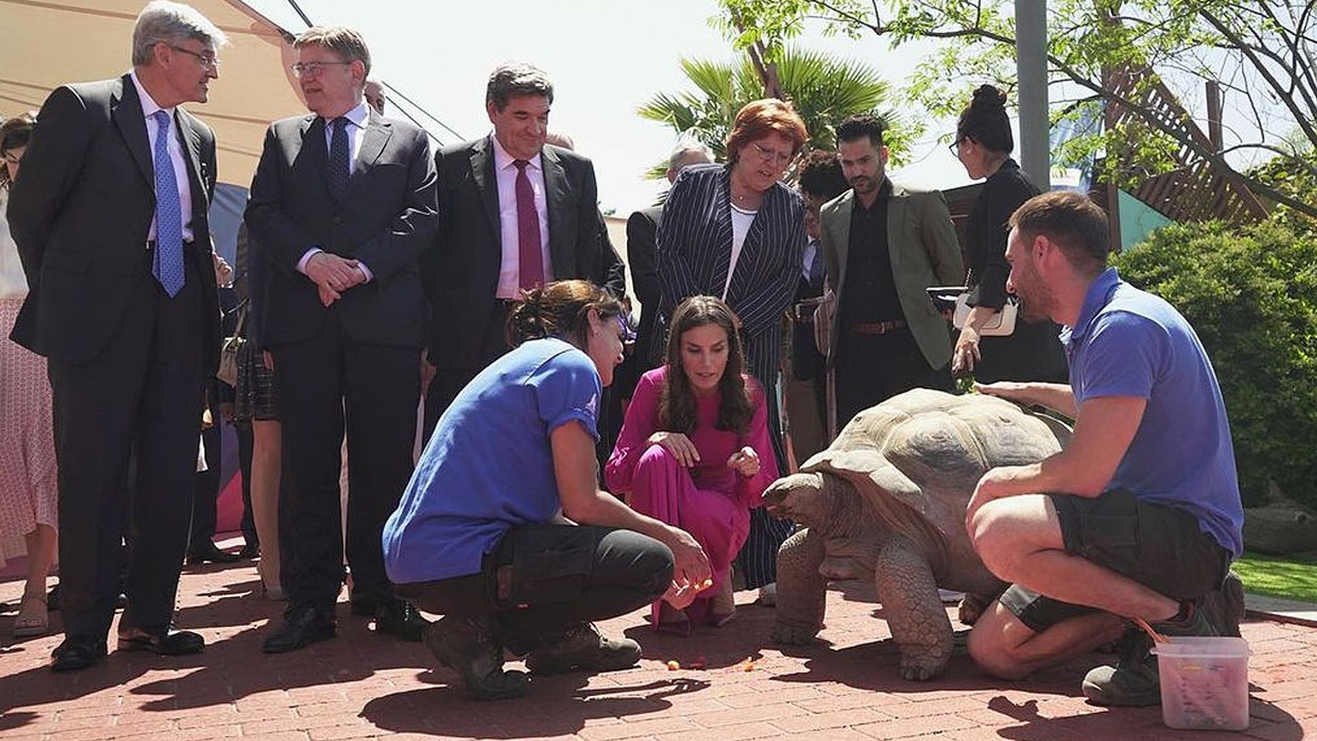 Los planes alternativos de la Reina en su visita a Valencia: su encuentro con Darwin y las falleras mayores