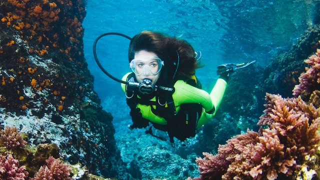 Mujer haciendo buceo entre corales