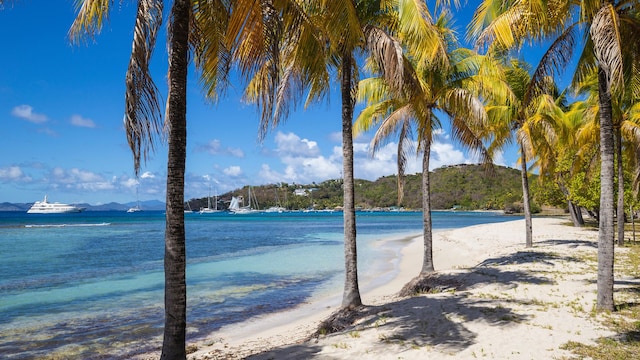 Playa Brittania Bay, isla Mustique, San Vicente y Las Granadinas, Caribe