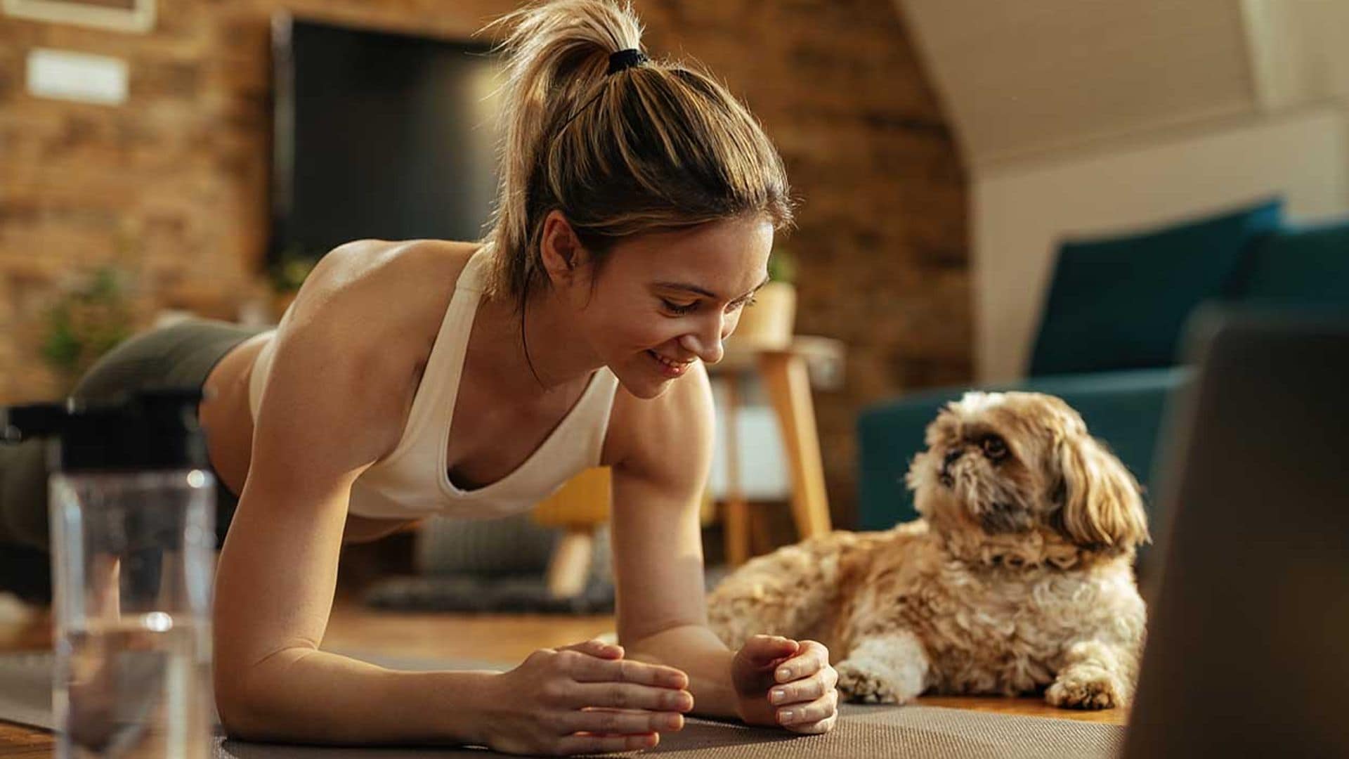 Aprovecha la cuarentena para entrenar con tu mascota