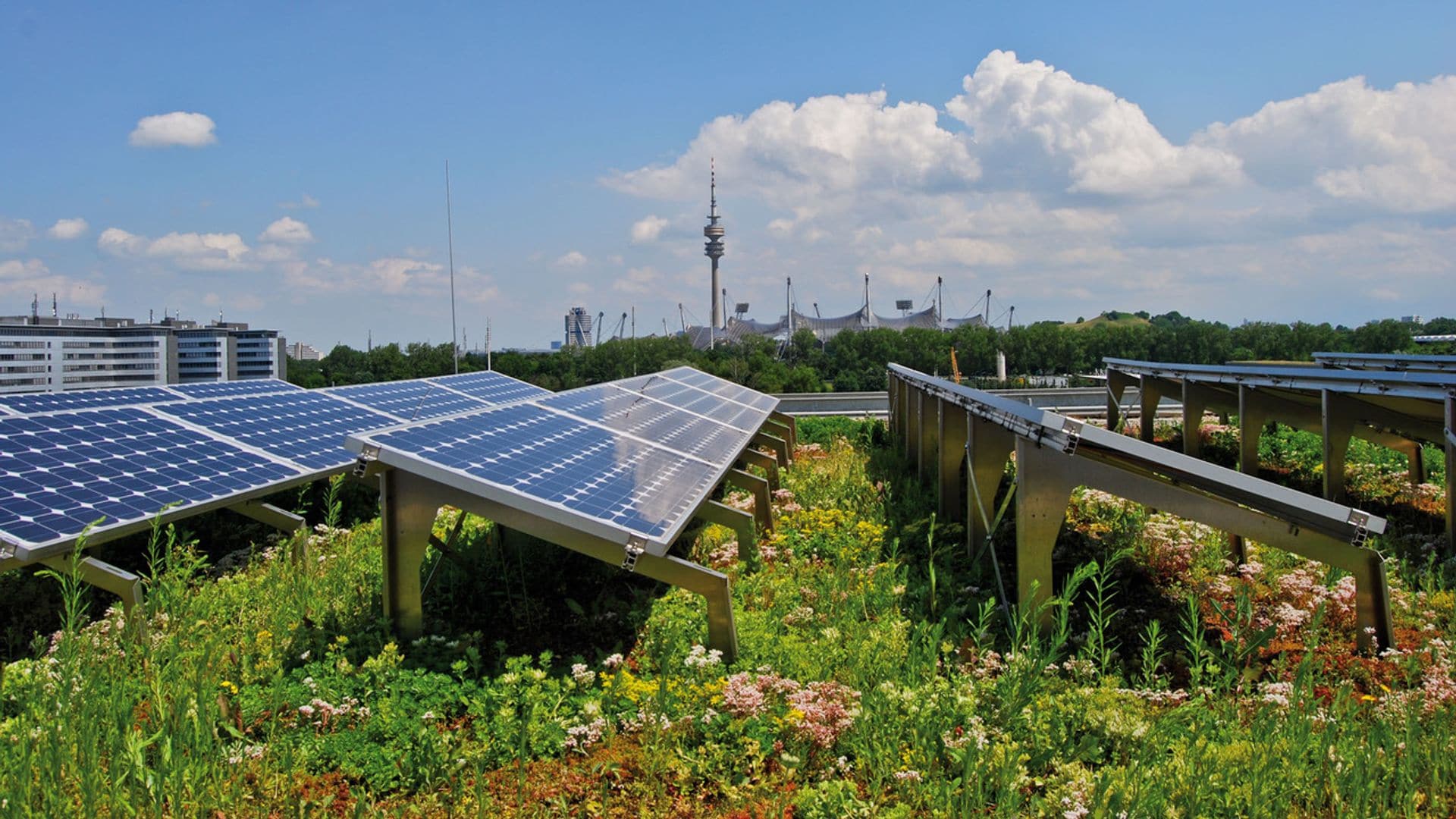 Cubiertas biosolares: cuando la naturaleza y la tecnología convergen para un futuro sostenible