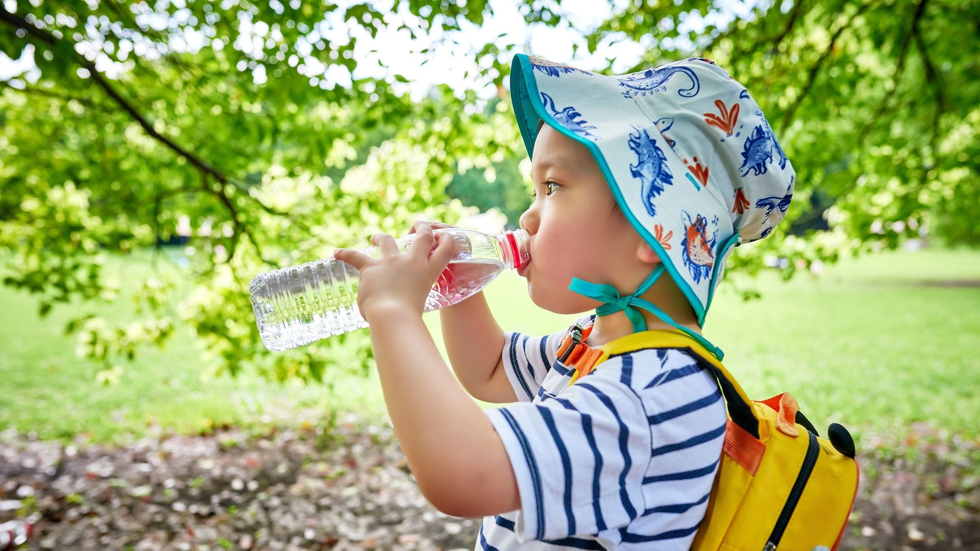 Dr. Nicolás Olea, alerta sobre los disruptores endocrinos: "Está totalmente desaconsejado que los niños beban agua en botellas de plástico"