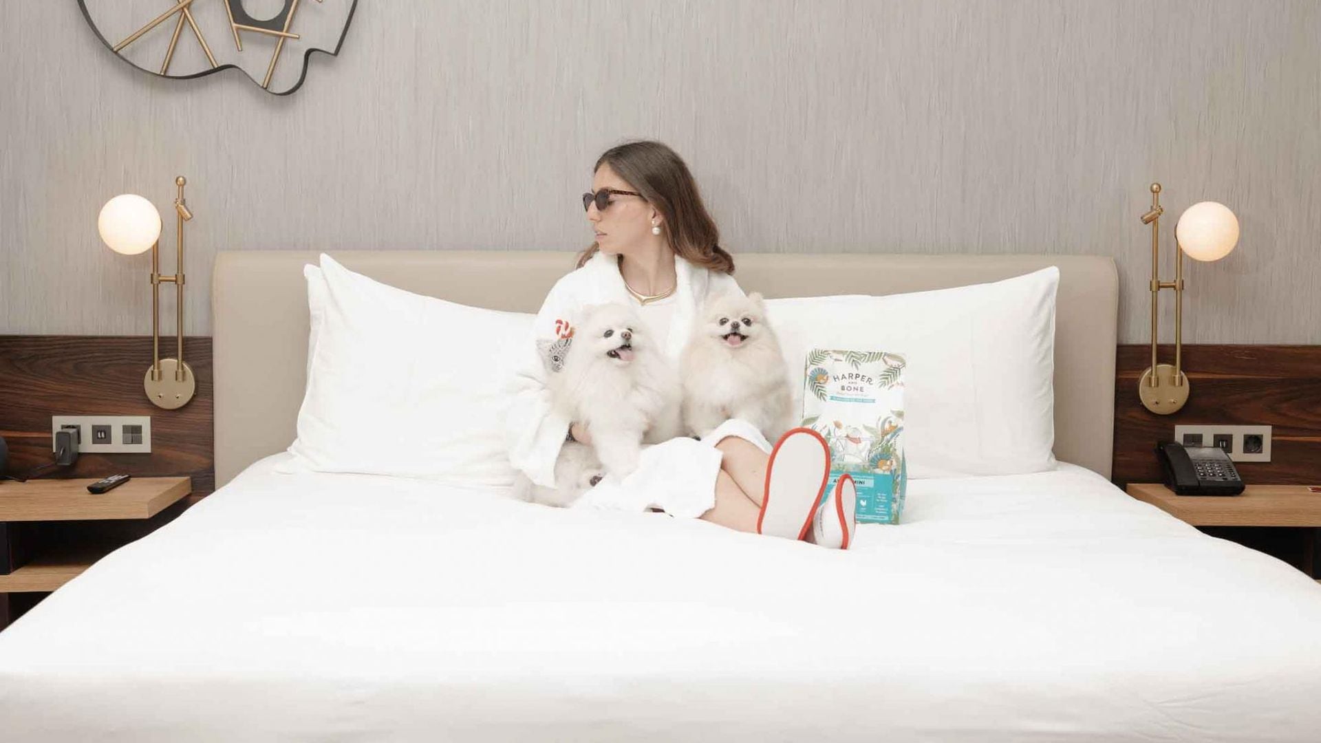 Si amas a tu perro (o a tu gato) sobre todas las cosas tienes que alimentarlo bien