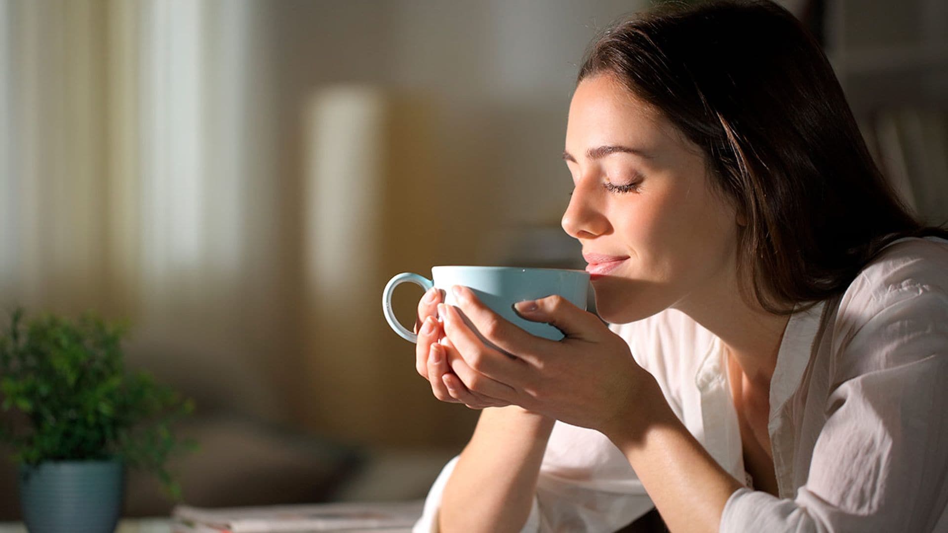 Todas las propiedades de la tila, una de las infusiones relajantes más populares