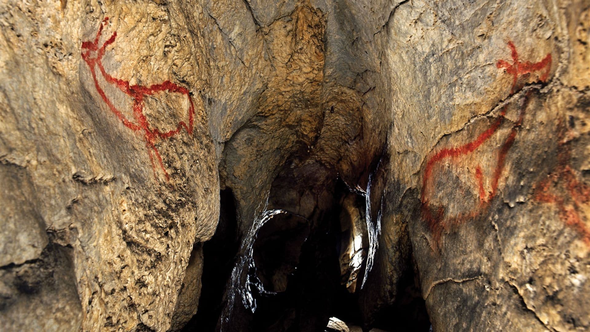 cueva de Covalanas, Ramales de la Victoria, Cantabria