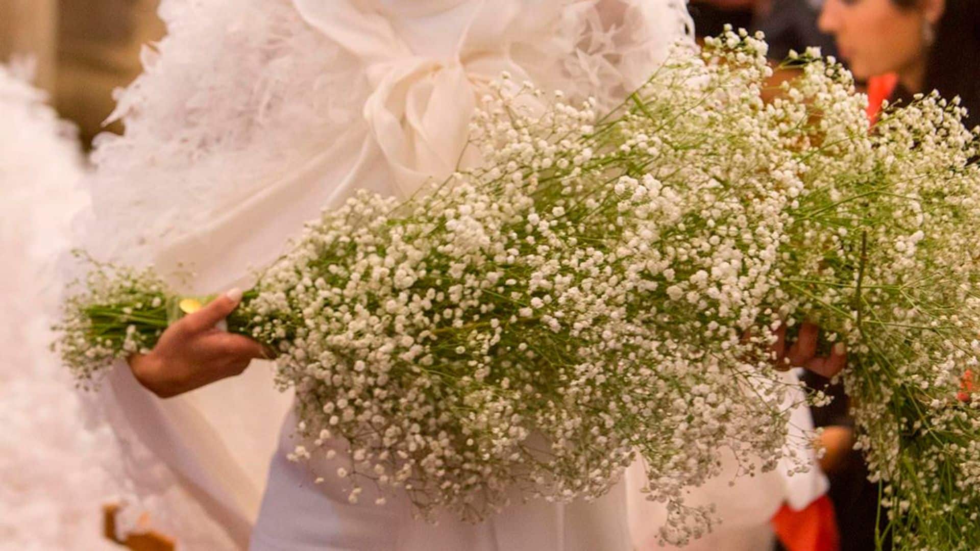 Ramo paniculata hotsell