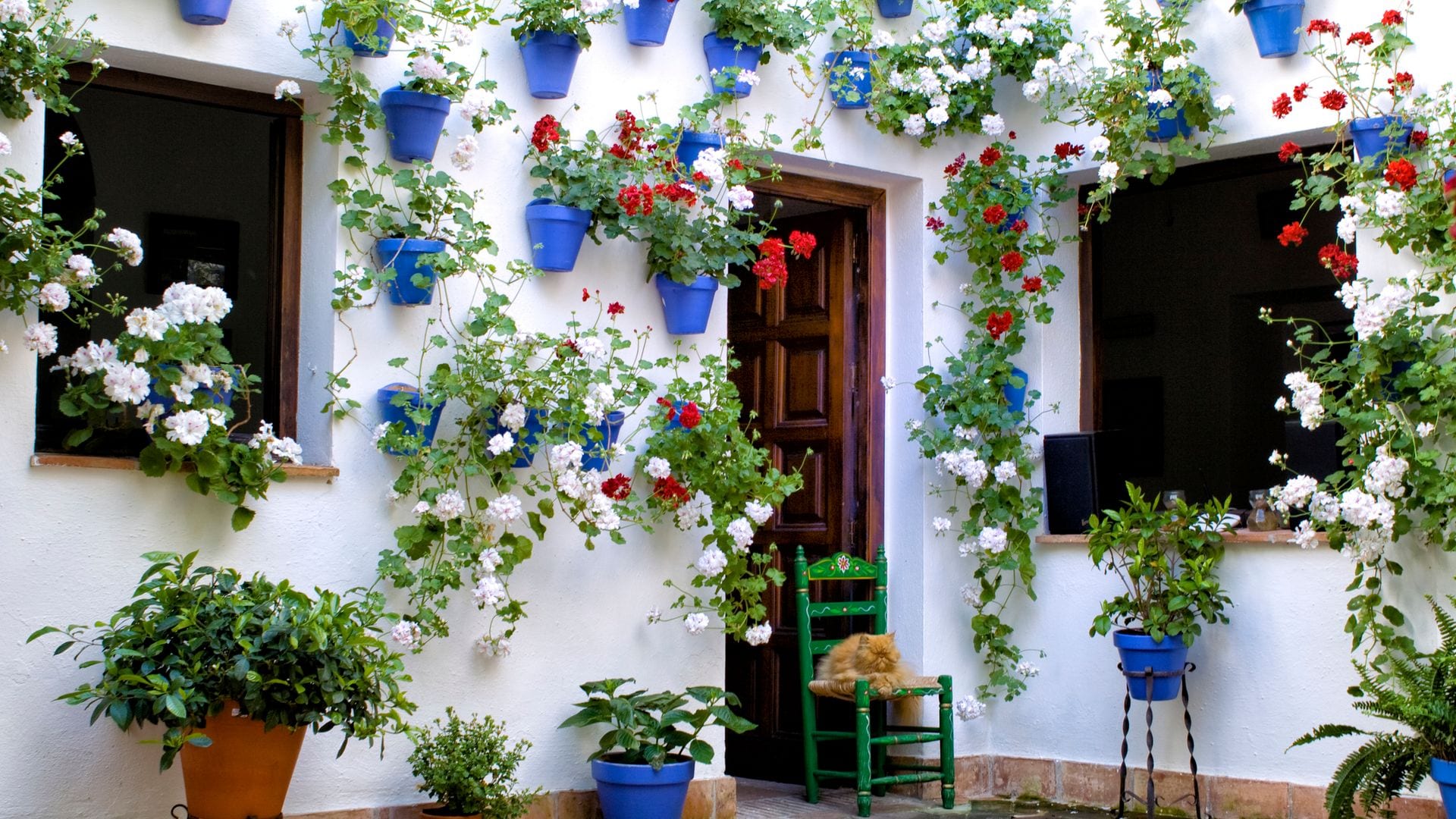 Cuáles son las plagas más frecuentes de los jardines en verano y cómo puedes fulminarlas