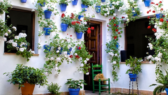 Patio cordobés lleno de flores