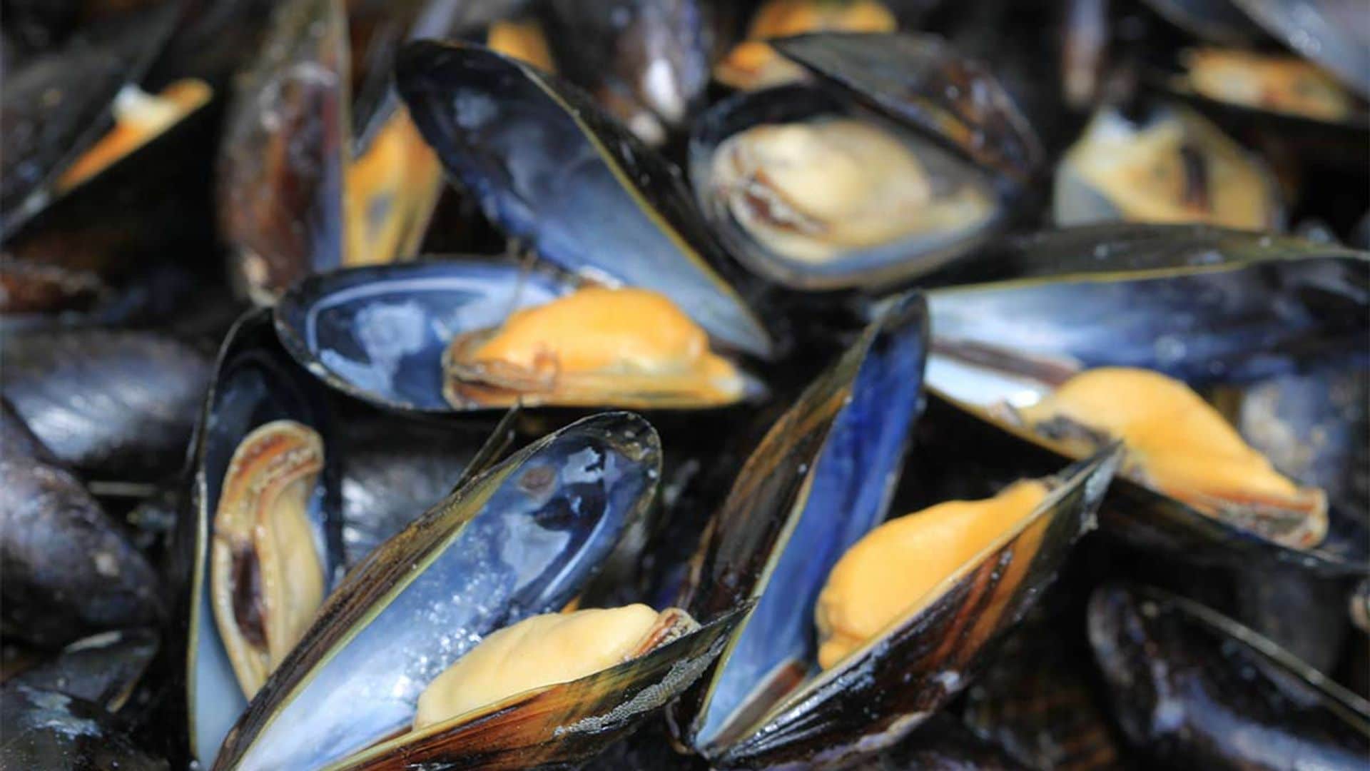 Mejillones: recetas saludables, fáciles y muy ricas