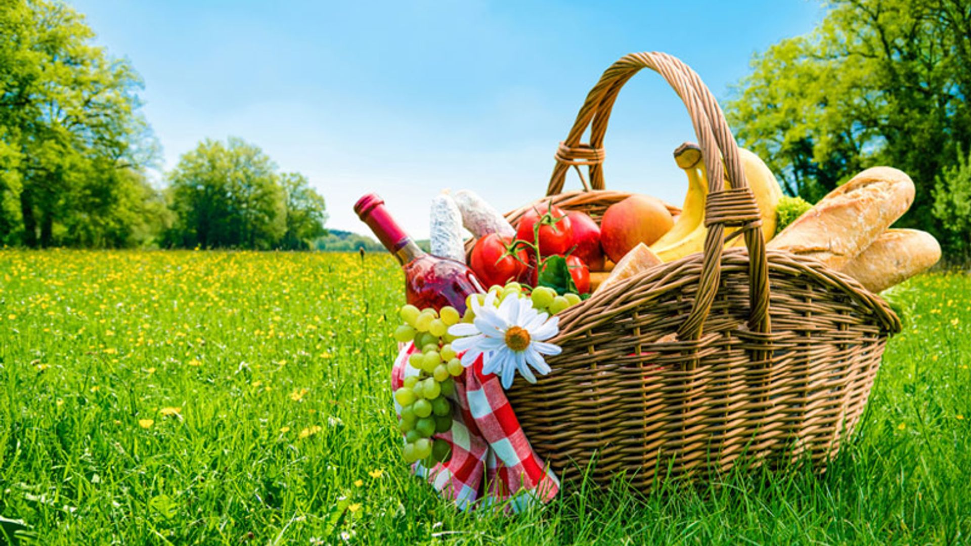 picnic_planes_