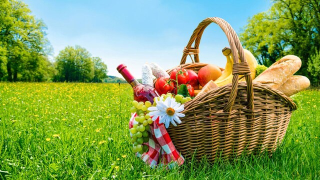 picnic_planes_