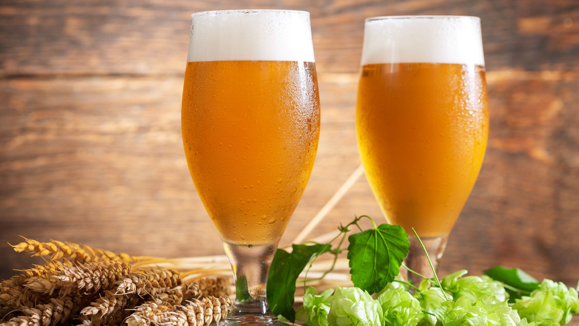 ‘Cuanto más fría, mejor’ y otros mitos (cuñados) sobre la cerveza