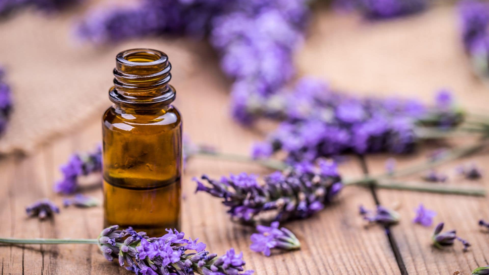 Aceites esenciales: todo un mundo por descubrir