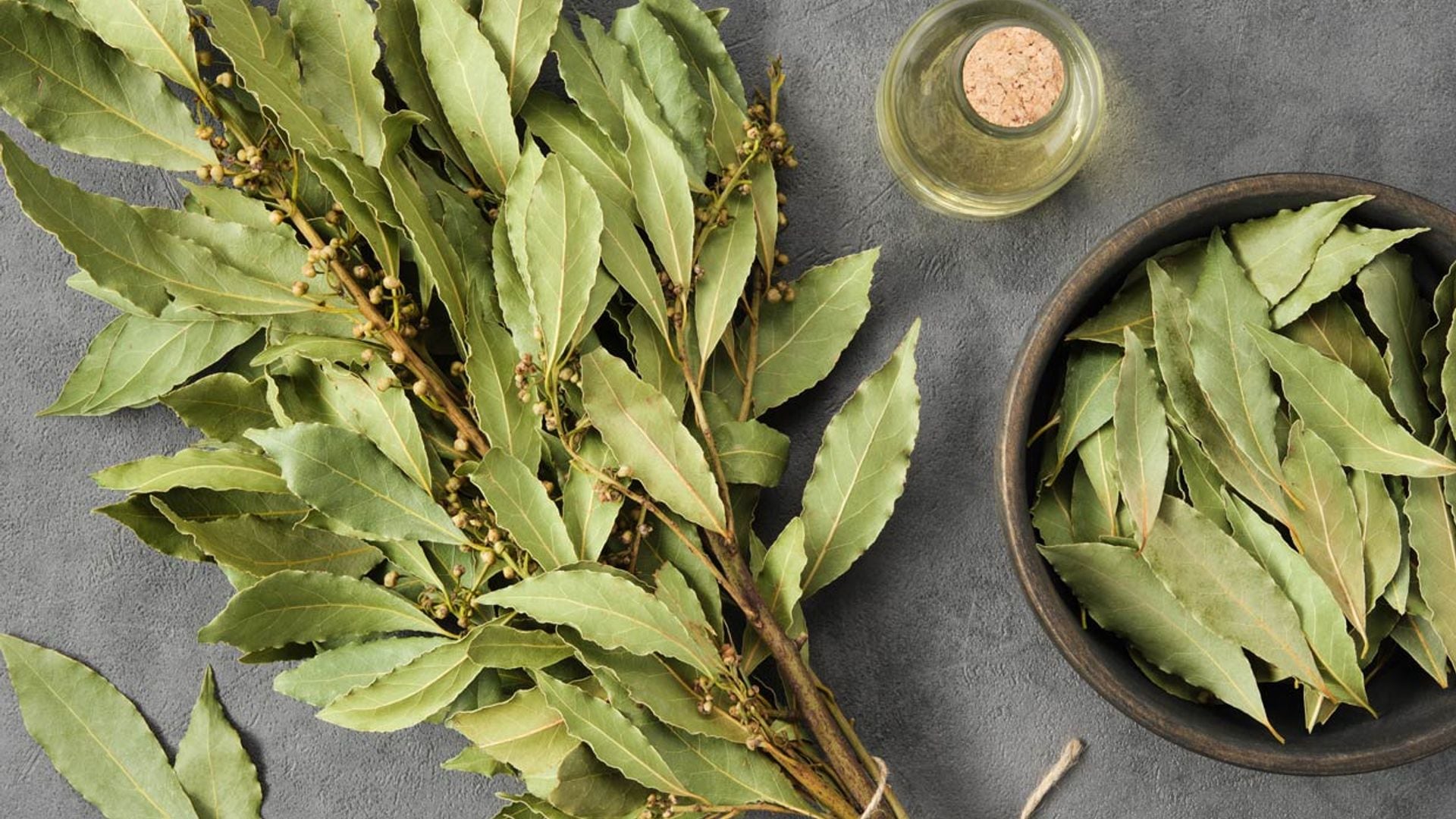 ¿Sabías que el laurel tiene todas estas propiedades beneficiosas?