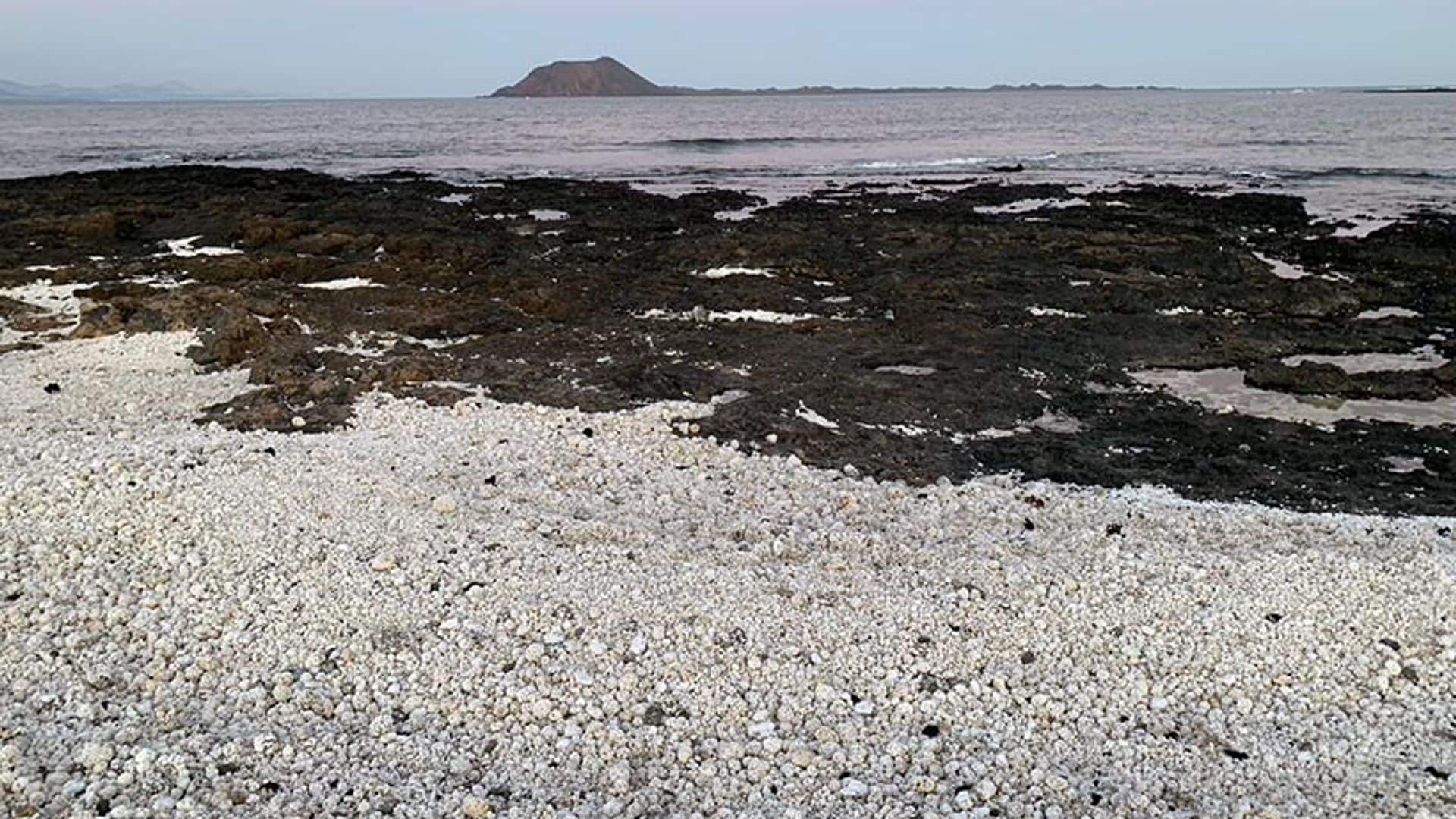 La instagrameable playa de las palomitas de Fuerteventura