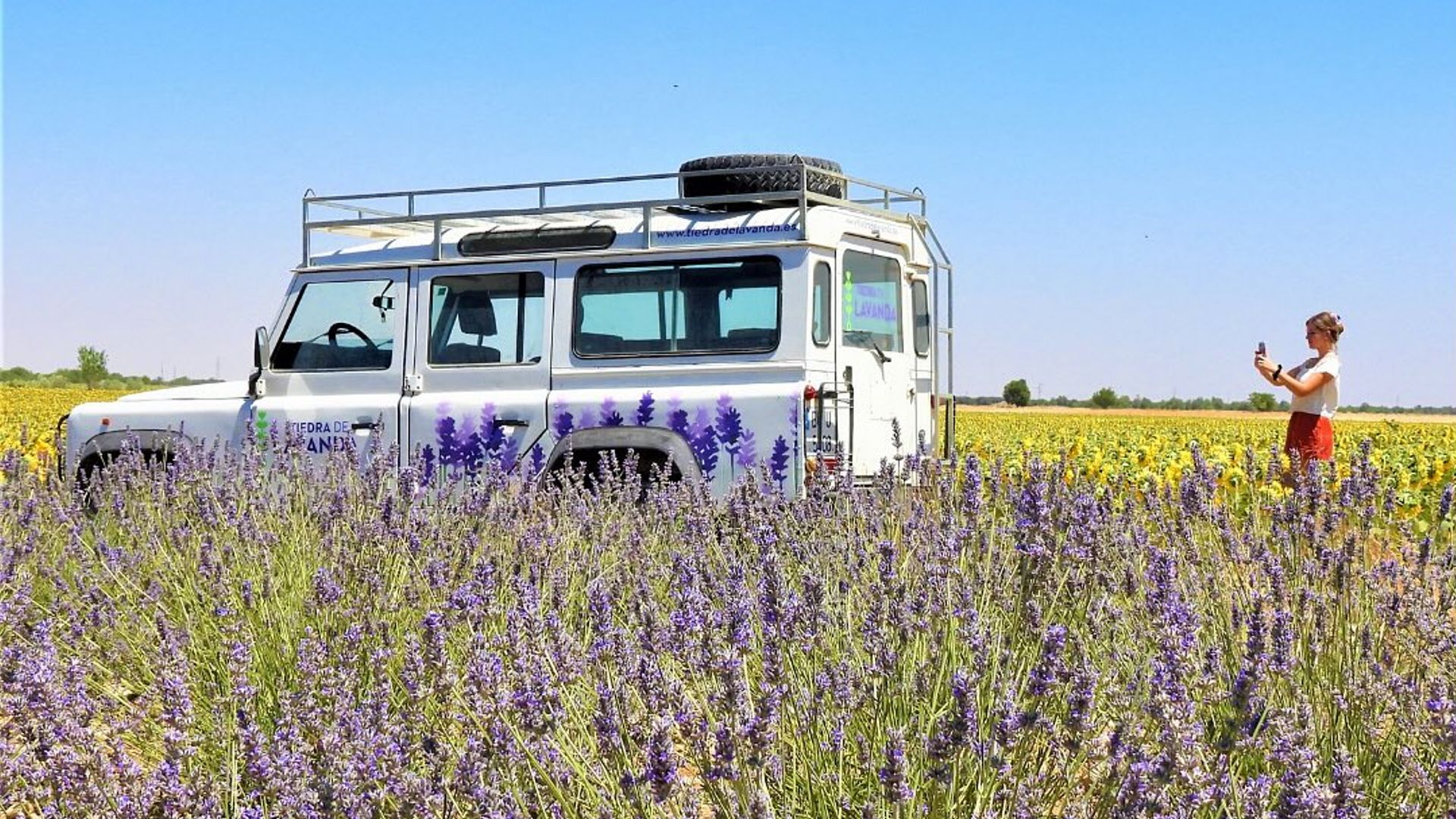 Parecen de la Provenza, pero están en España: los 5 pueblos que arrasan cada verano por sus campos de lavanda en flor