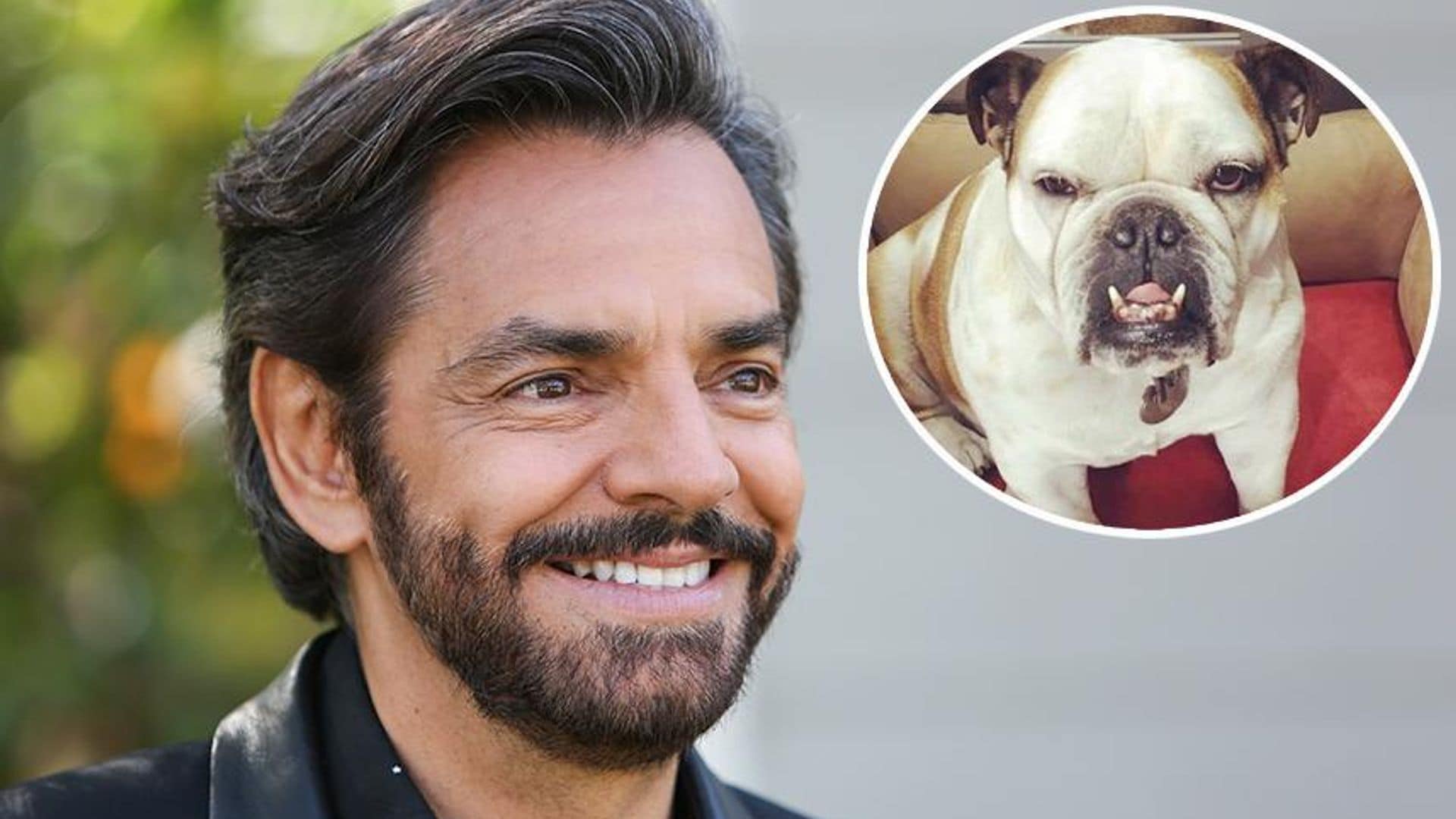 Eugenio Derbez revela que su perrita se enfermó porque lo extraña