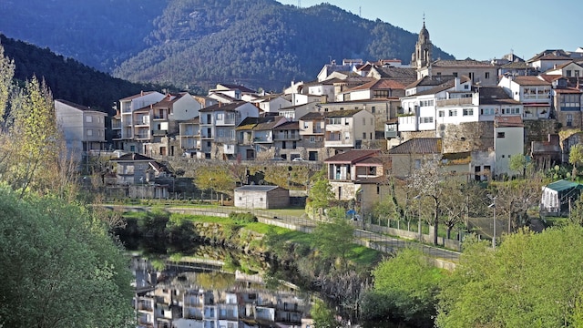 Ribadavia, O Ribeiro, Ourense