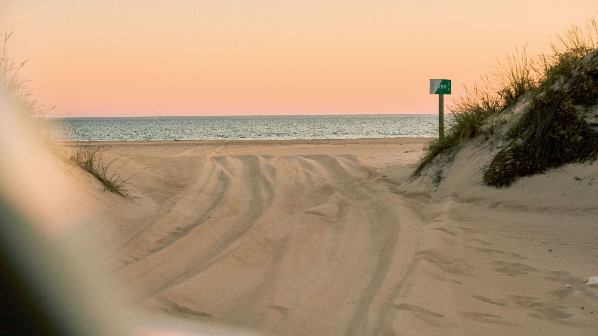 Otra imagen de Doñana