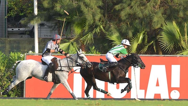 polo