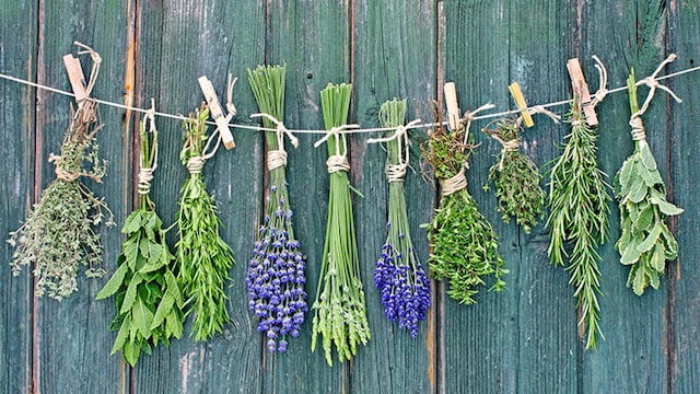 hierbas aromatias