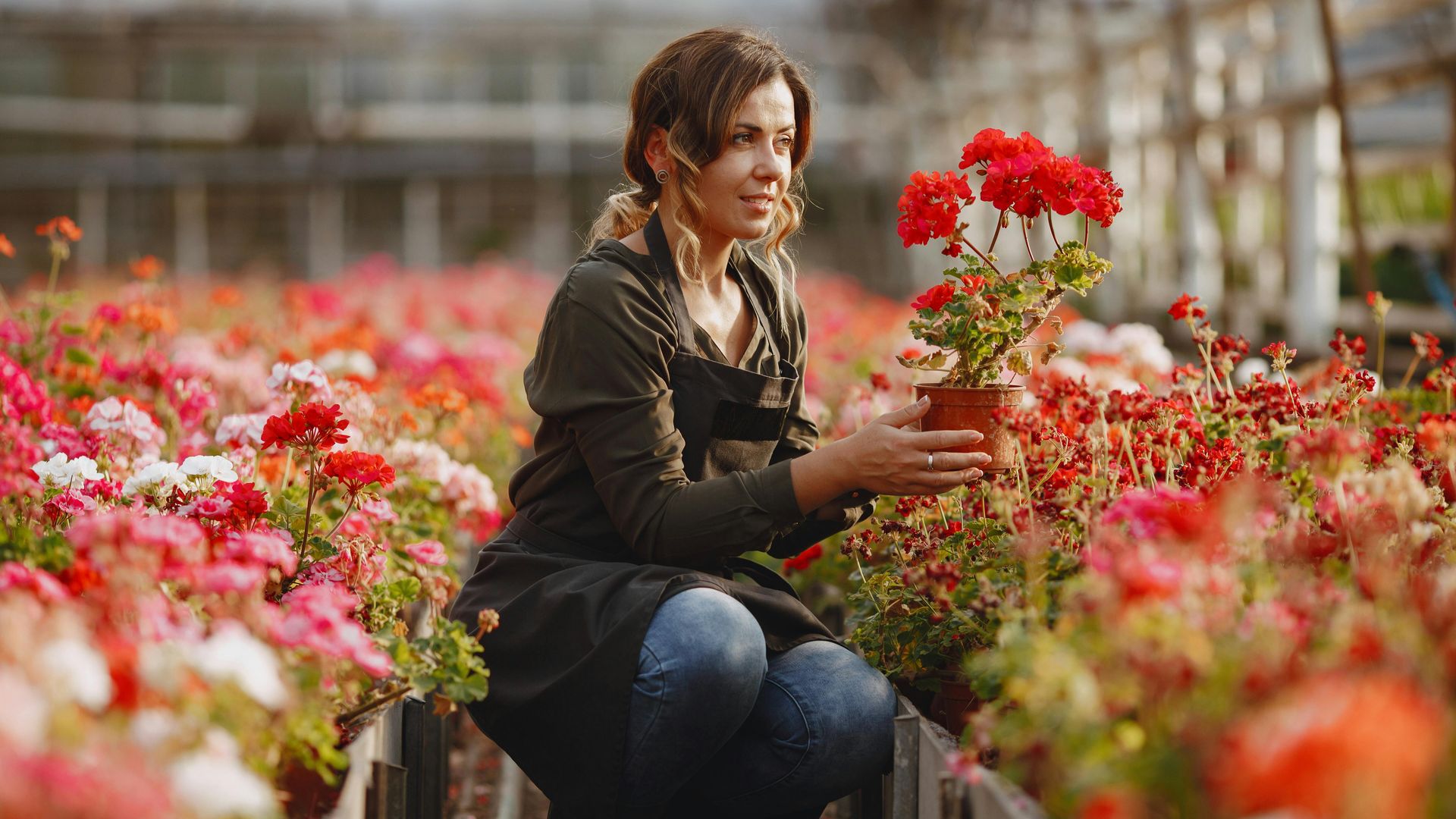 Mujer con una planta en el vivero. 