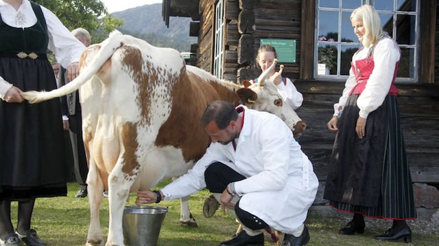 noruega