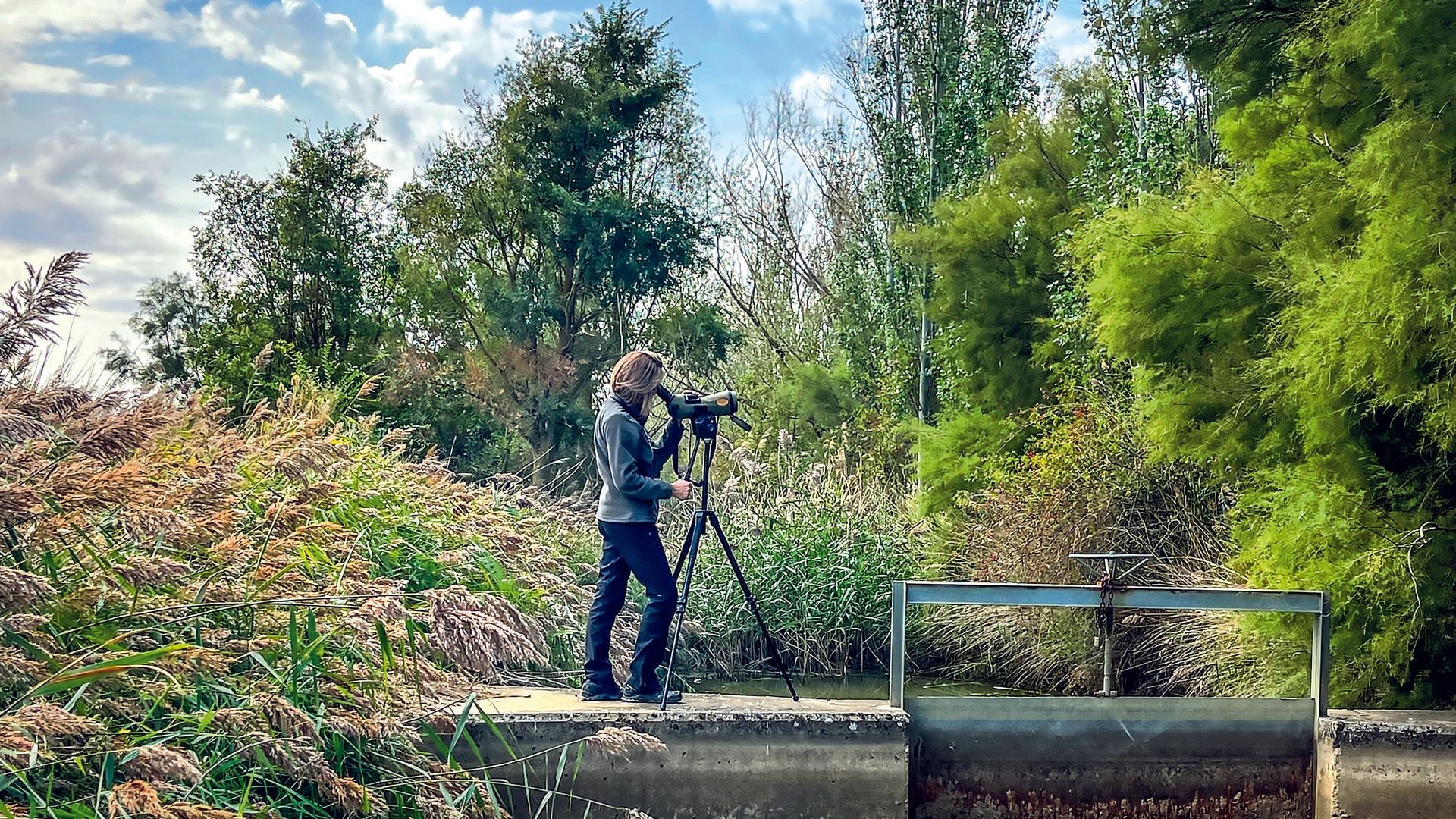 Observando aves en la laguna de la nava Ampudia