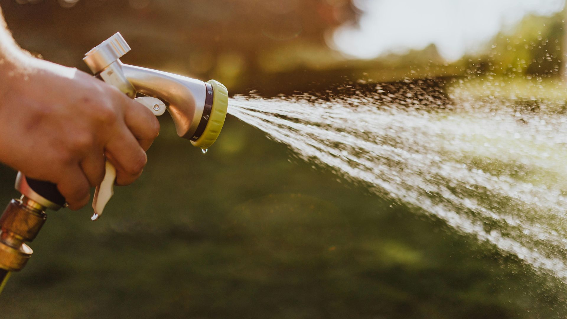 El granado no es un árbol especialmente demandante de agua de riego, en los meses más cálidos bastará con regar dos veces por semana