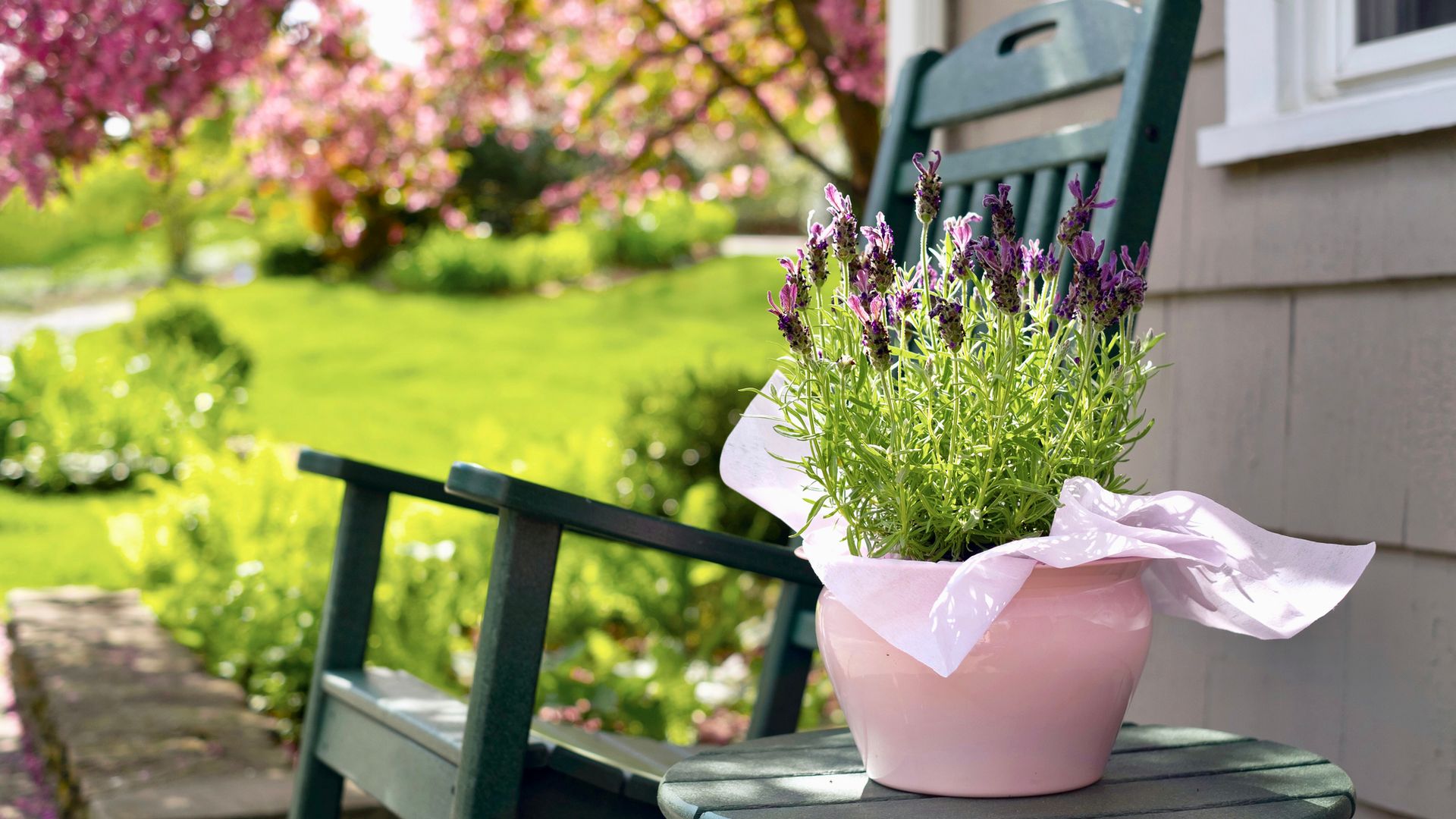 10 plantas de flores moradas fáciles de cuidar para alegrar tu jardín o terraza