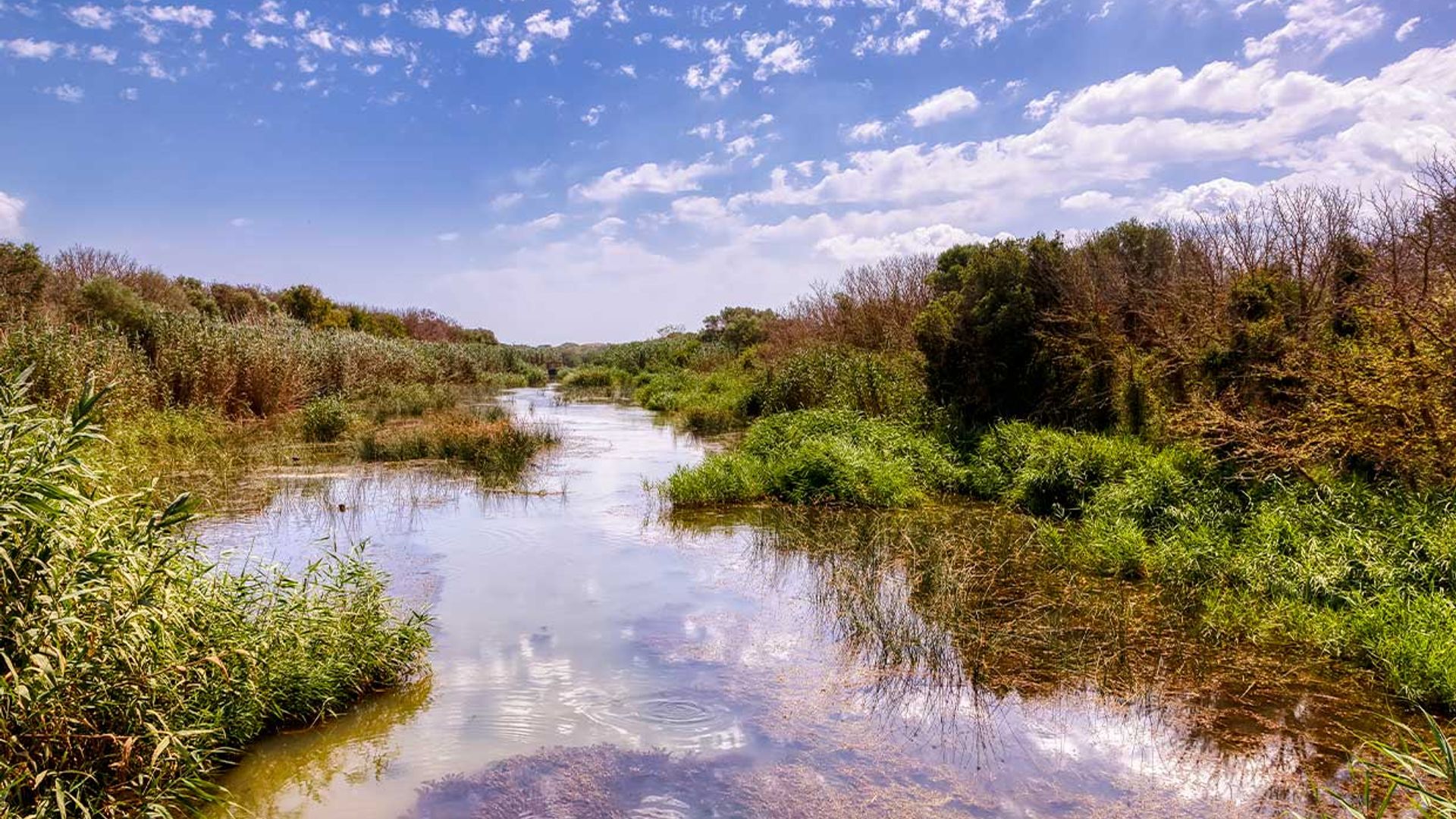 S´Albufera, una marisma de aires míticos en la isla de Mallorca