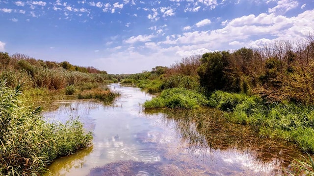 albufera