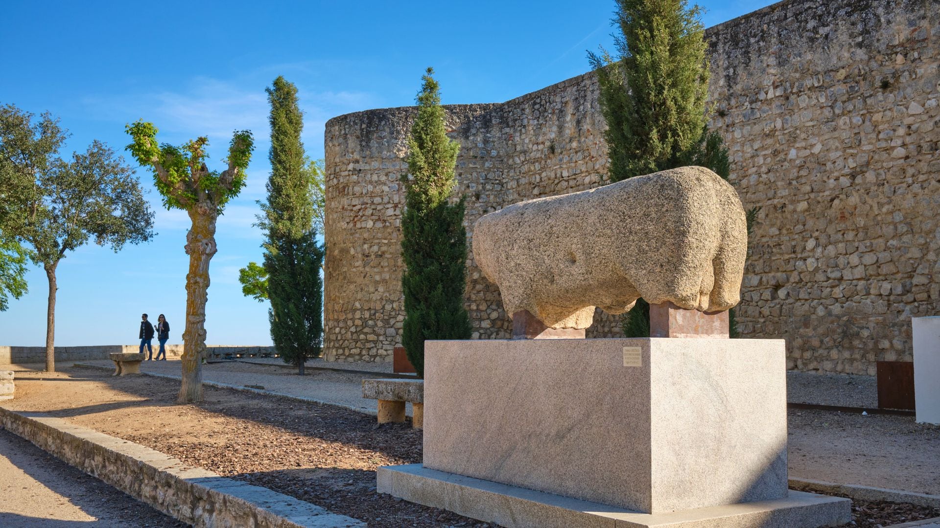 Verraco en la ciudad de Toro, Zamora