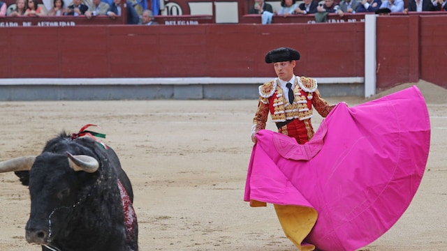 gonzalo caballero gtres