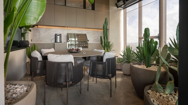 Comedor con cocina con  barbacoa de gas, grandes ventanales, muchos cactus y suculentas
