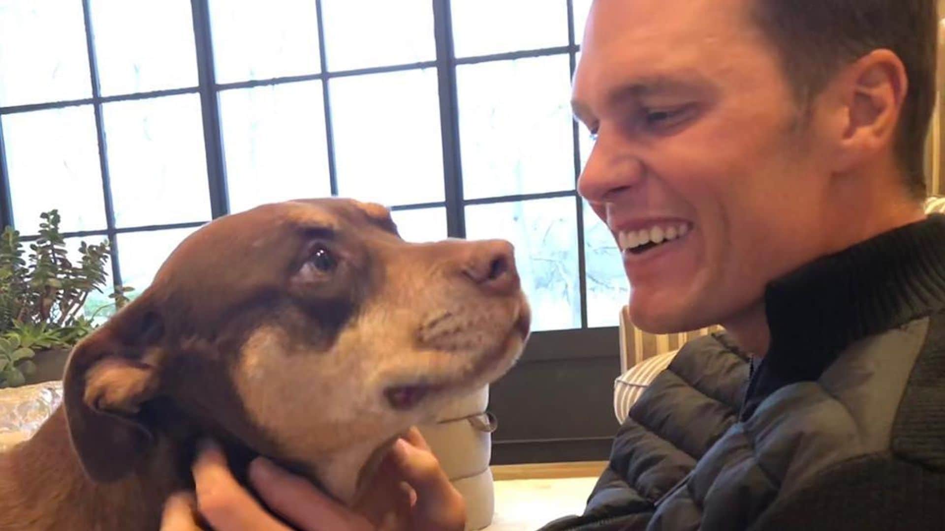 Tom Brady y su perrita Lua