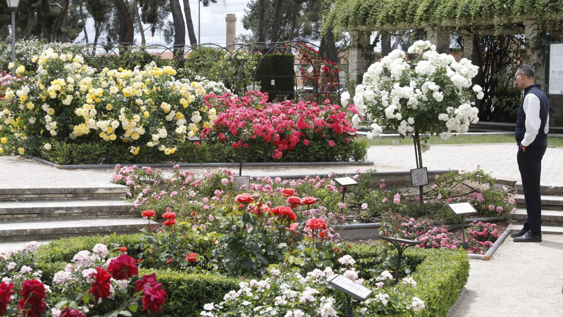 La Rosaleda del parque del Oeste