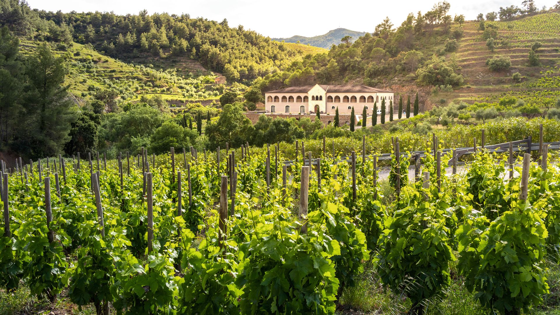 Bodega en Gratallops El Priorat