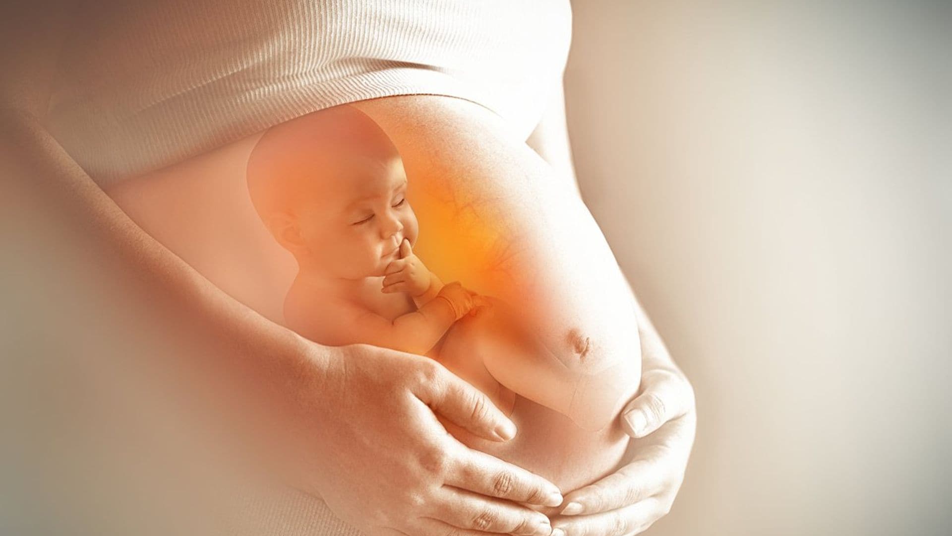¿Has oído hablar del microquimerismo fetal? El porqué de la unión intensa entre madre e hijo