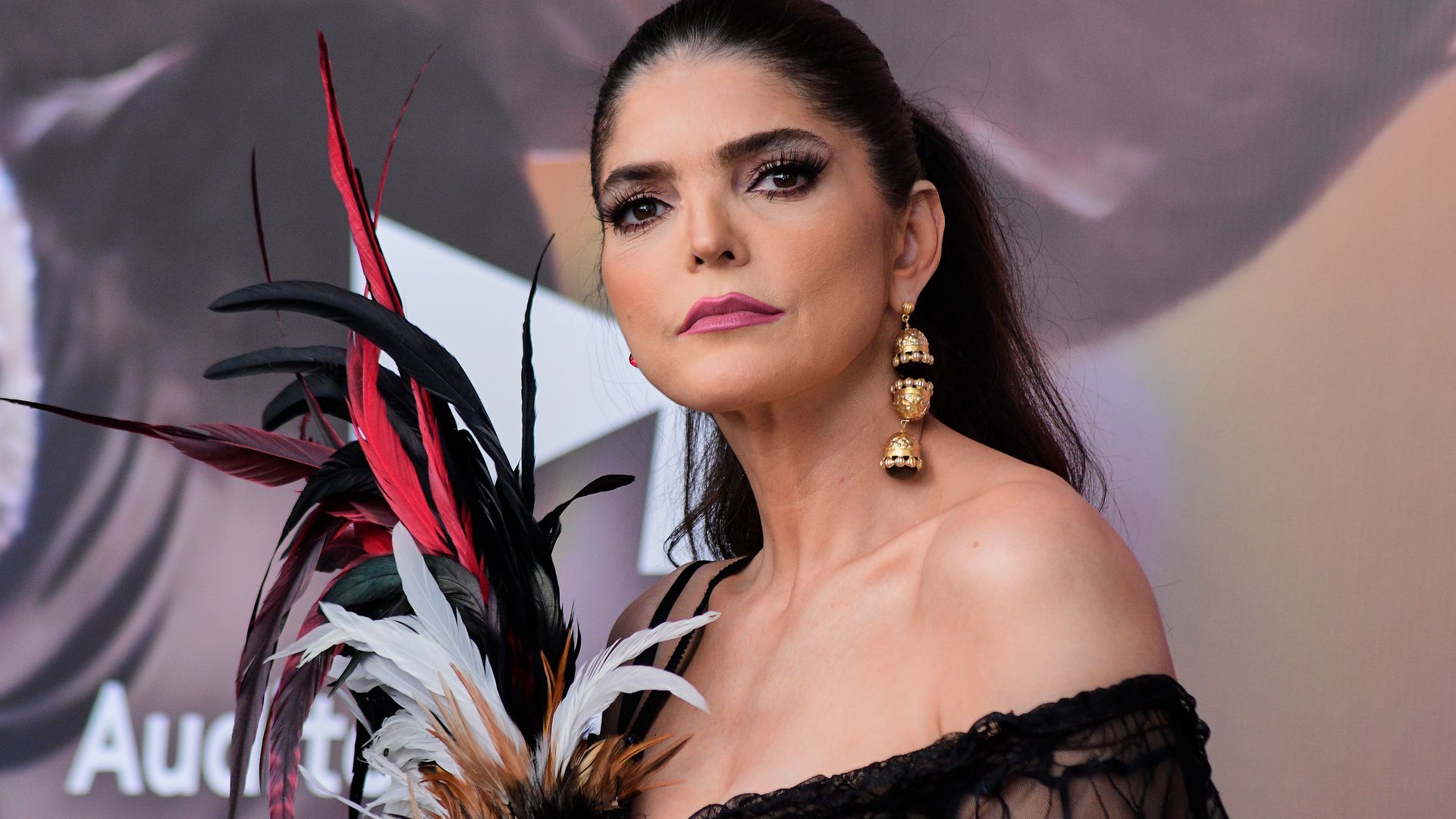 MEXICO CITY, MEXICO - FEBRUARY 16: Singer Ana Barbara attends a press conference to present her new tour 'Bandidos' at Auditorio Nacional on February 16, 2023 in Mexico City, Mexico. (Photo by Jaime Nogales/Medios y Media/Getty Images)