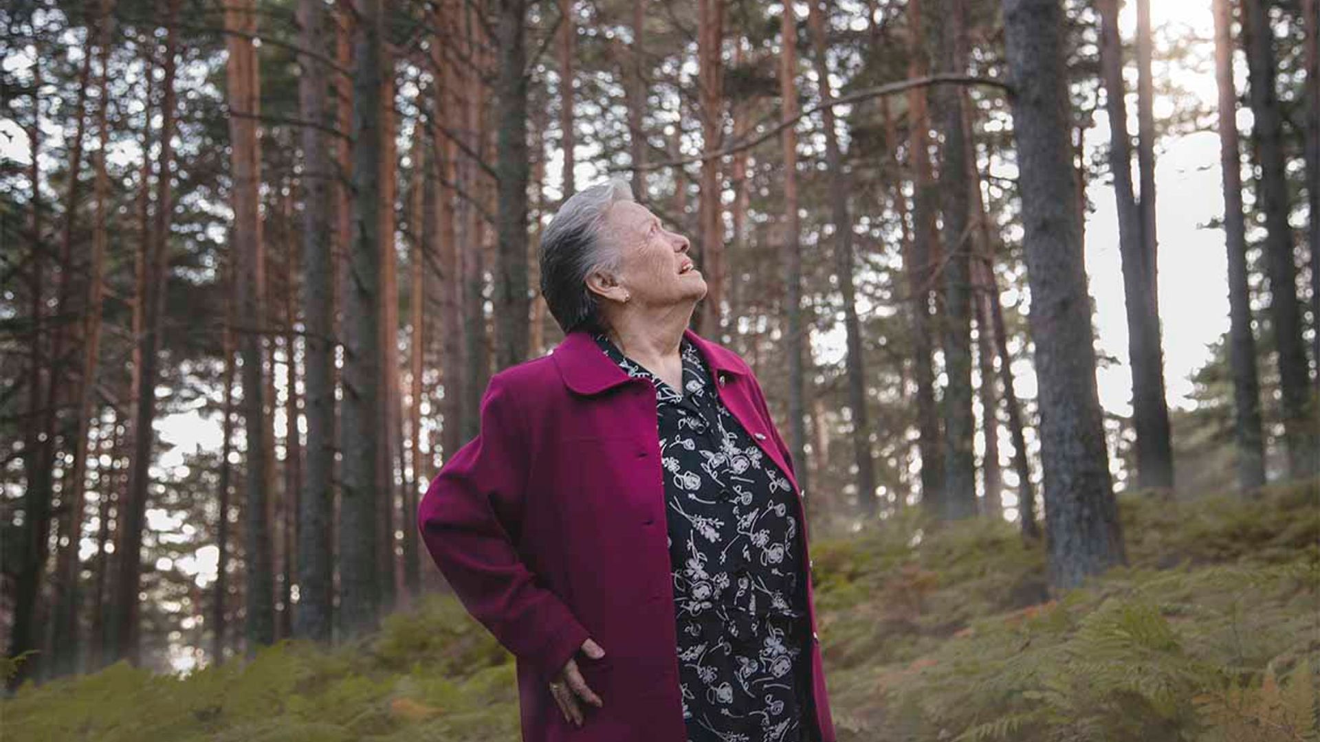El grito de 'Estefanía' se cuela en 'Cuéntame'