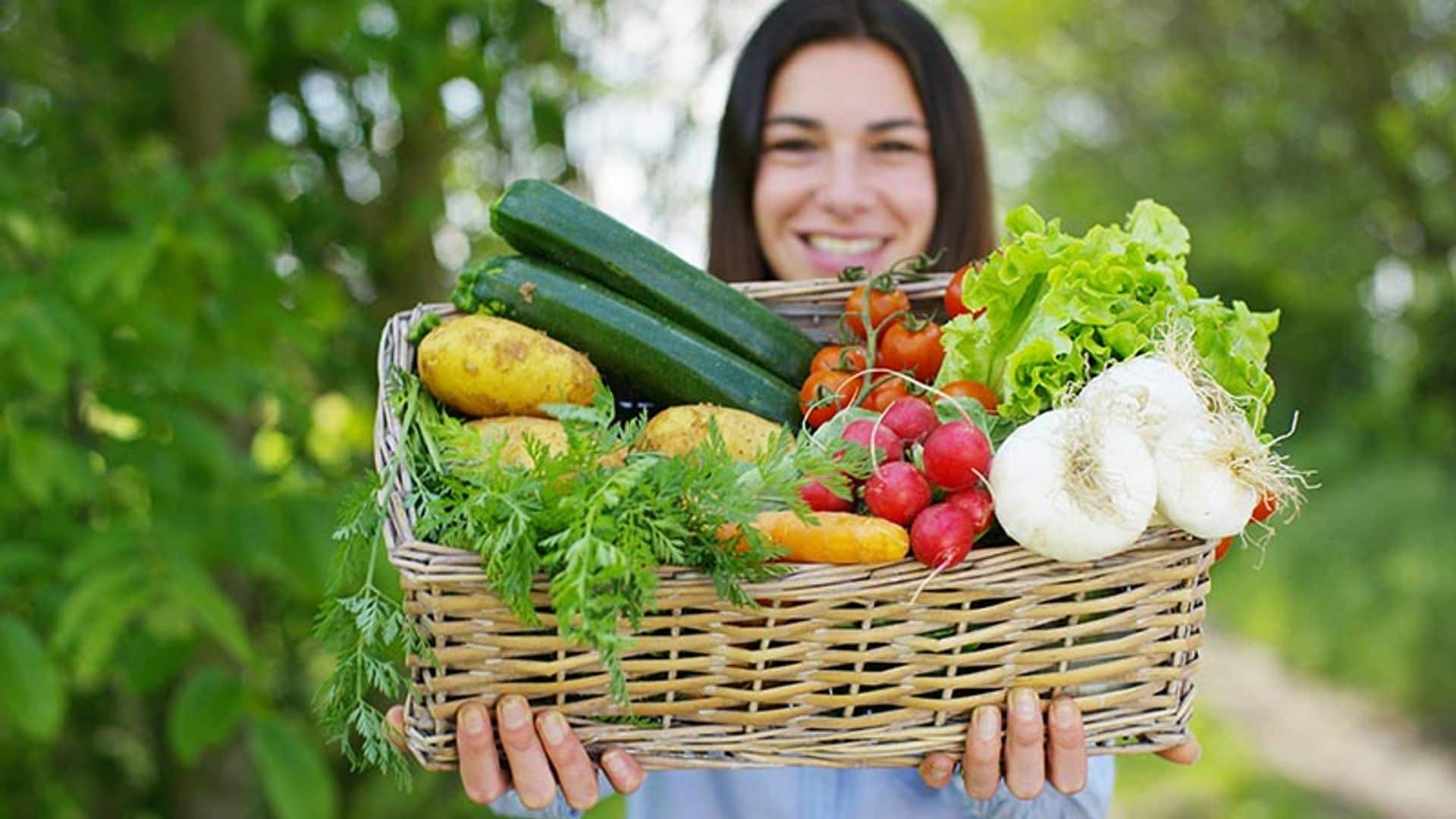 cerebroverduras