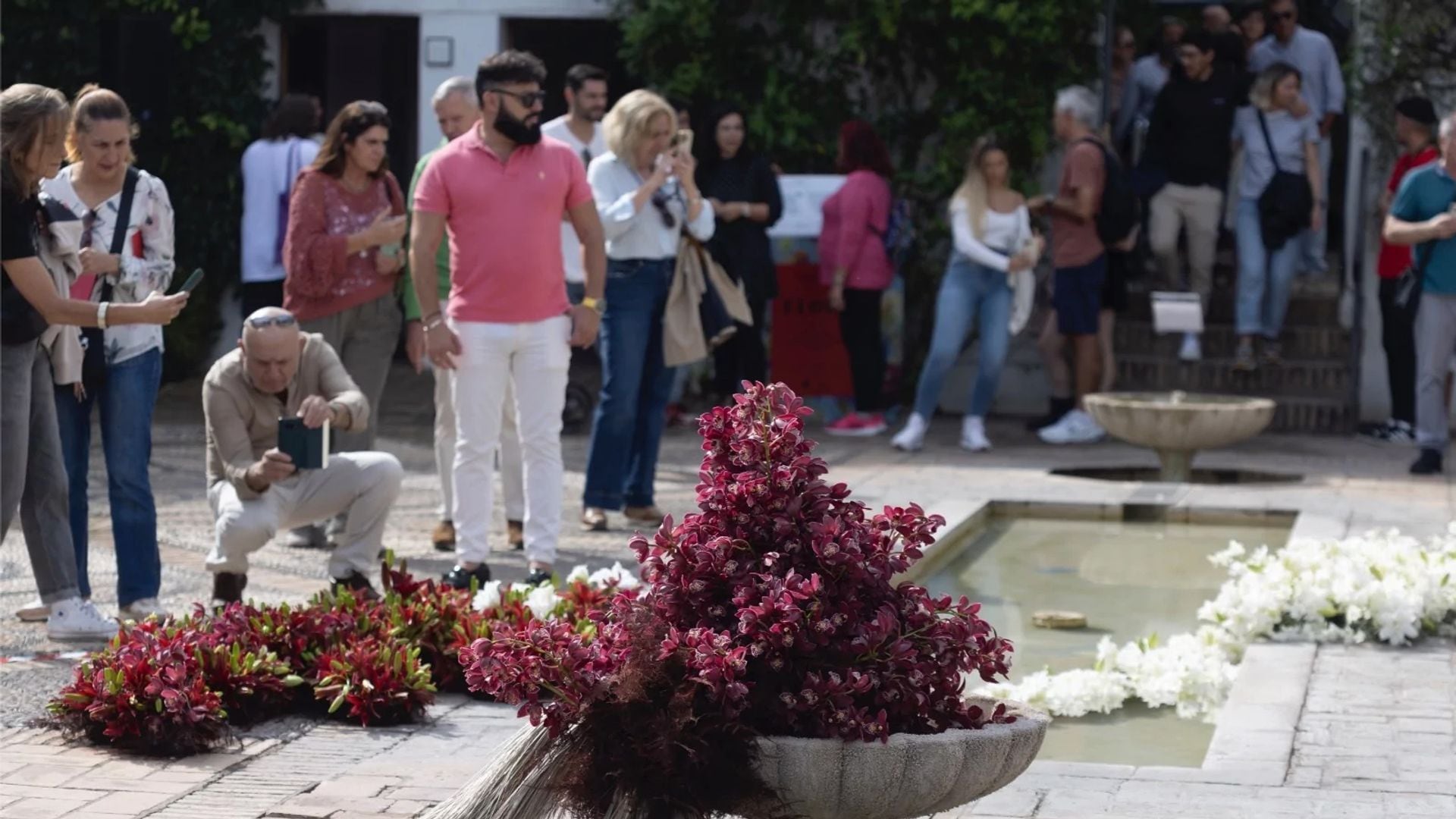 Flora, Córdoba