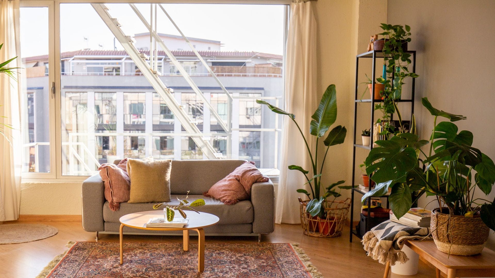Las 8 plantas de interior más bonitas para decorar tu salón esta primavera 2025