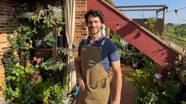 Chico Plantas en la terraza de su piso, un ático en Madrid