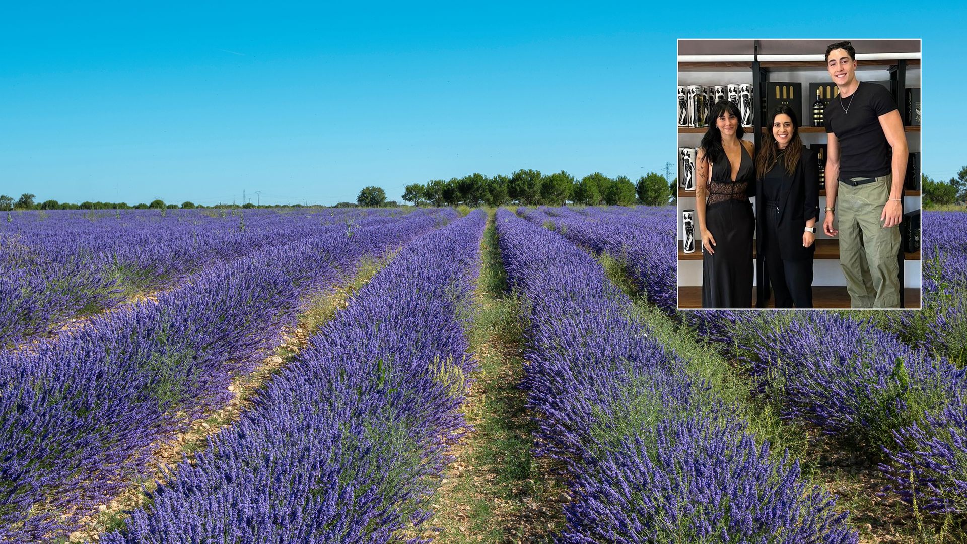 Aitana y Plex visitando la bodega Latarce, Toro, Zamora y campos de lavanda de Tiedra, Valladolid
