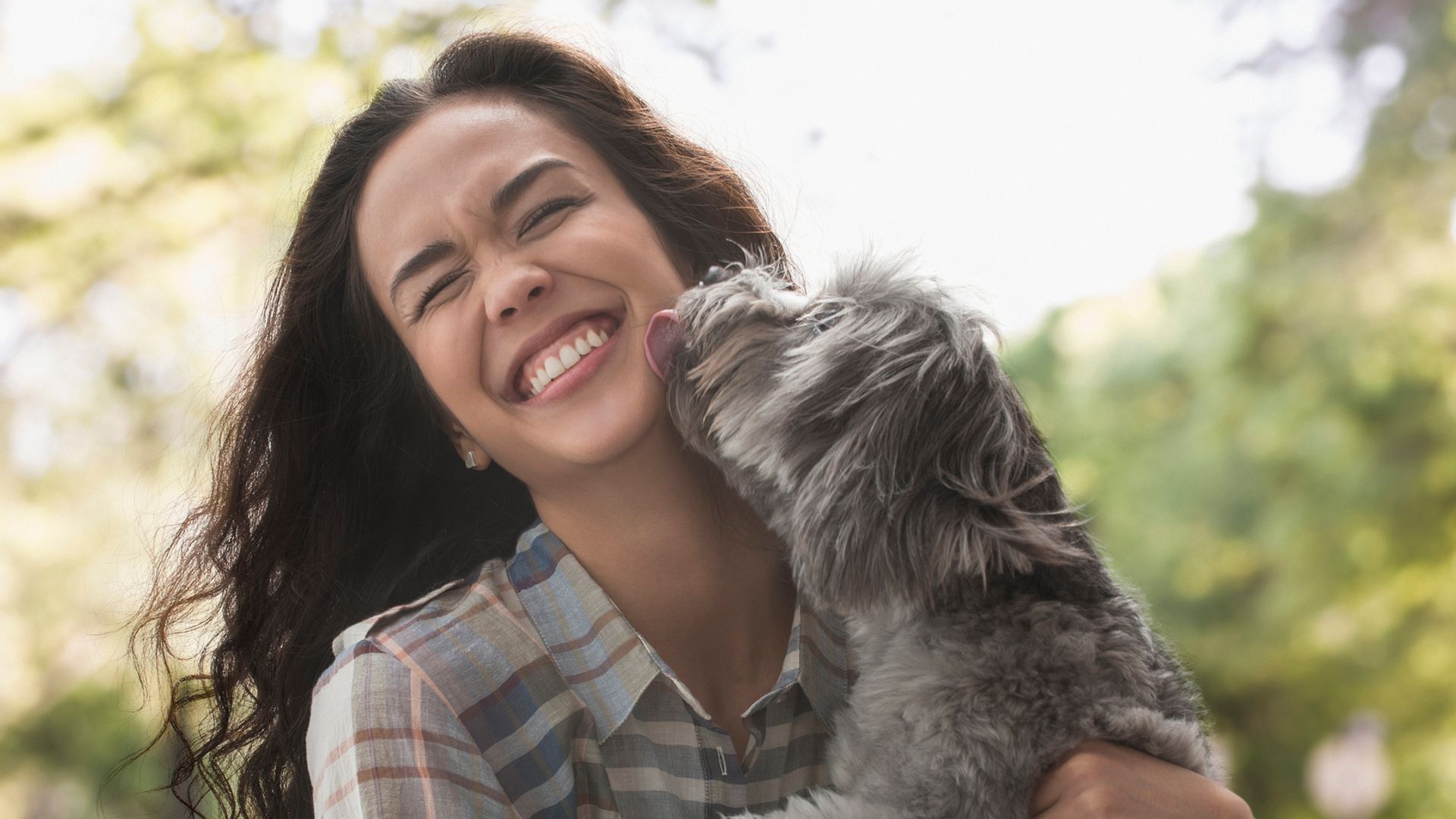 Los lamidos de un perro pueden parecer simples muestras de cariño, pero también son una forma de buscar atención, contacto y pertenencia dentro del grupo familiar