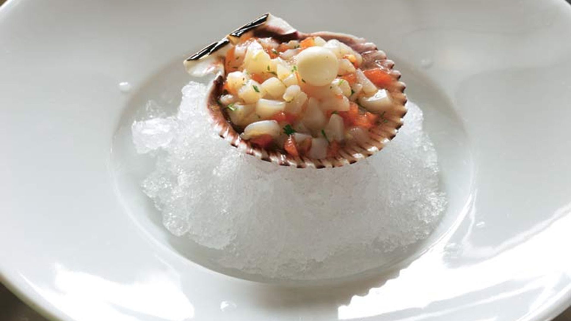 Tartar de zamburiña con perla de cítricos