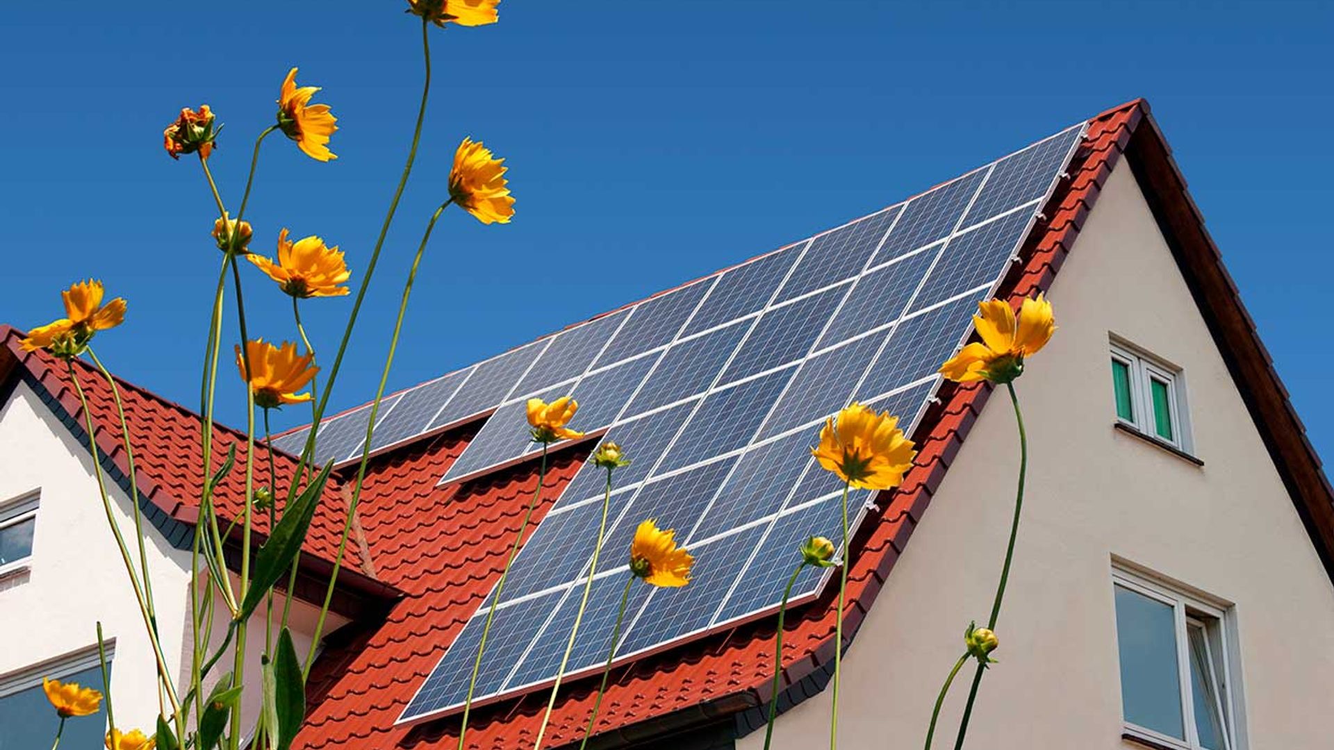 panel solar