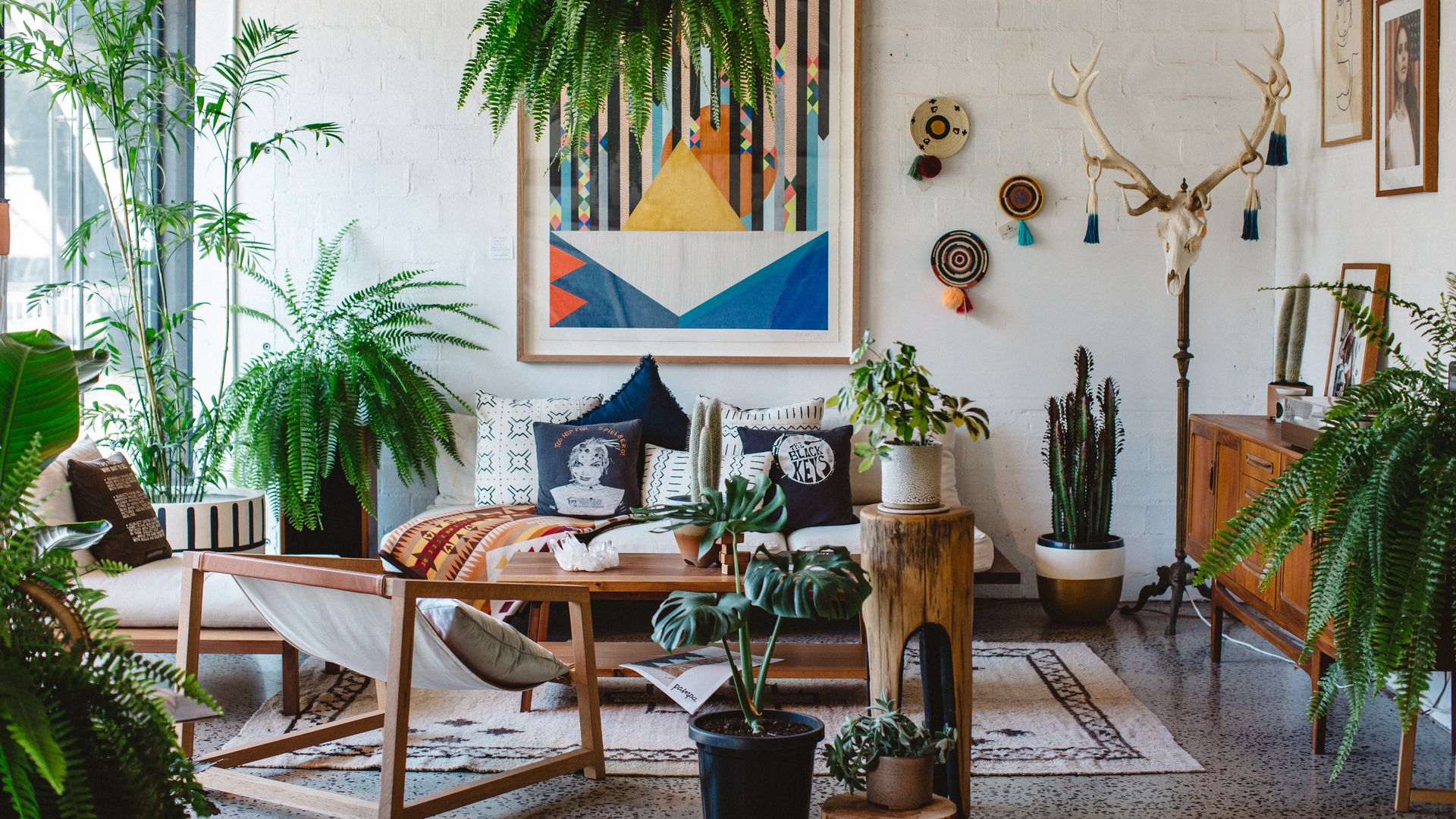 Salón con plantas.